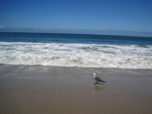 beach_2