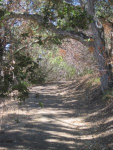 path