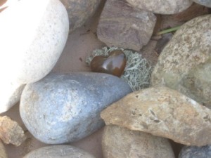 rocks